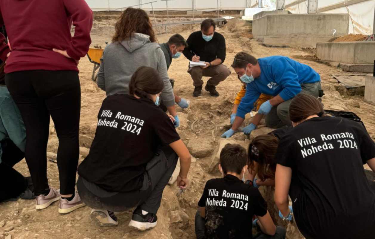 Imagen de las excavaciones en el Salón Cruciforme en Noheda.