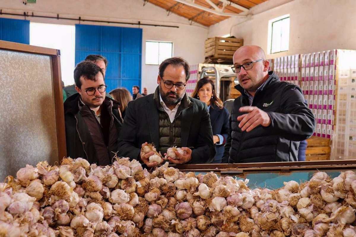 El presidente del Partido Popular de Castilla-La Mancha, Paco Núñez, en Corral-Rubio