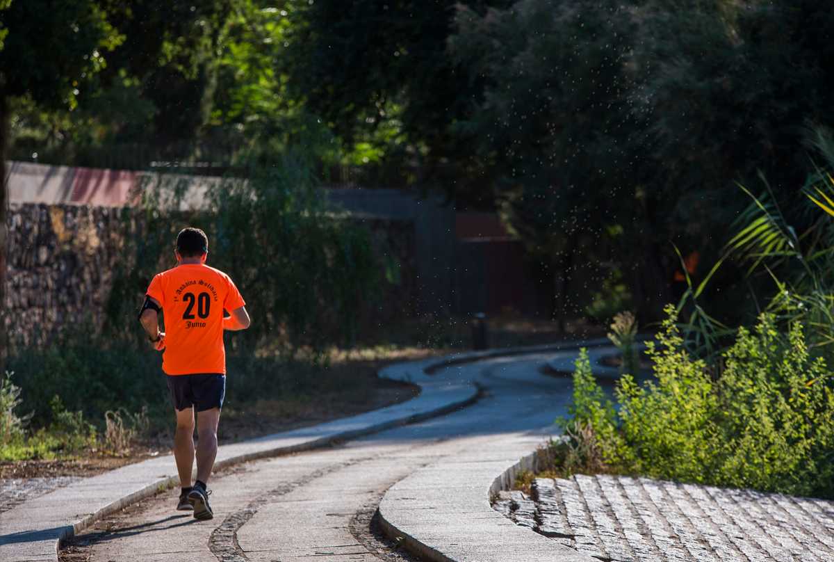 gente, persona caminando, correr, senda ecológica