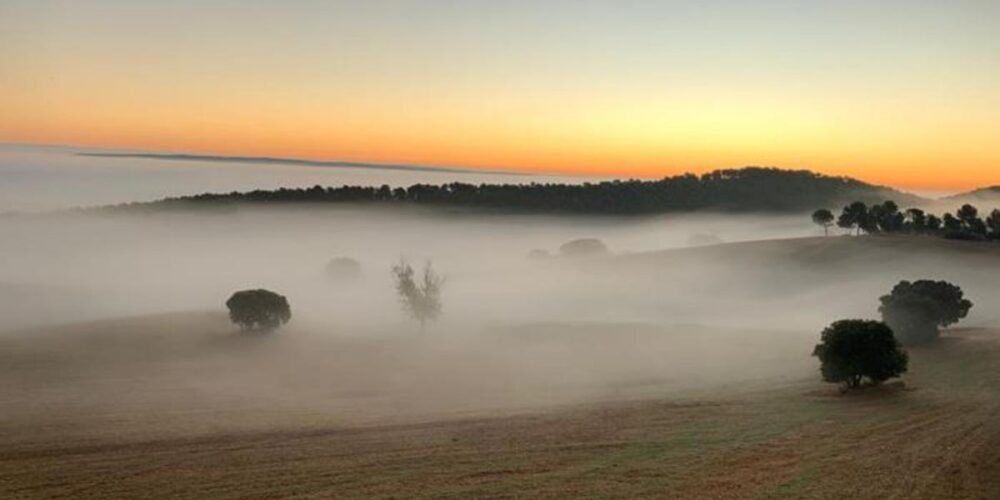 Niebla en un amanecer de Castilla-La Mancha.