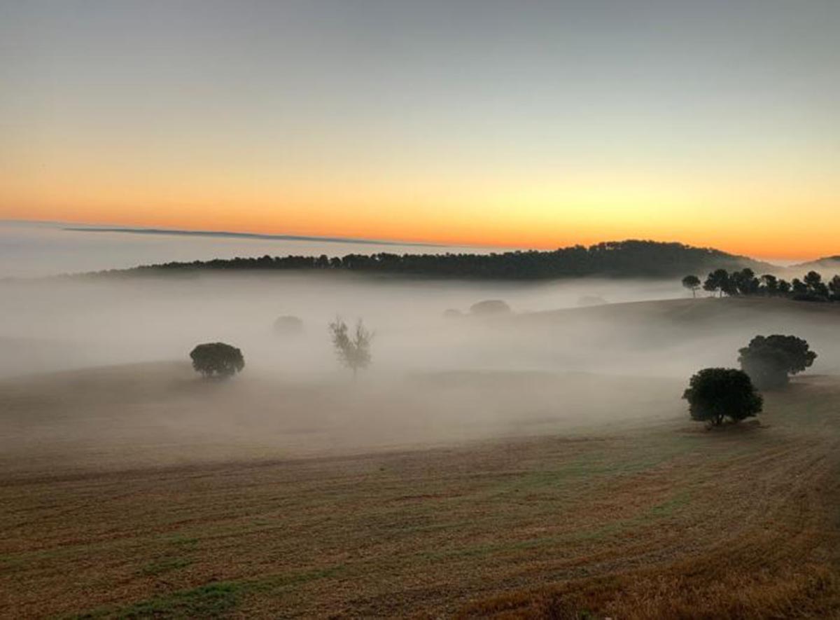 Niebla en un amanecer de Castilla-La Mancha.