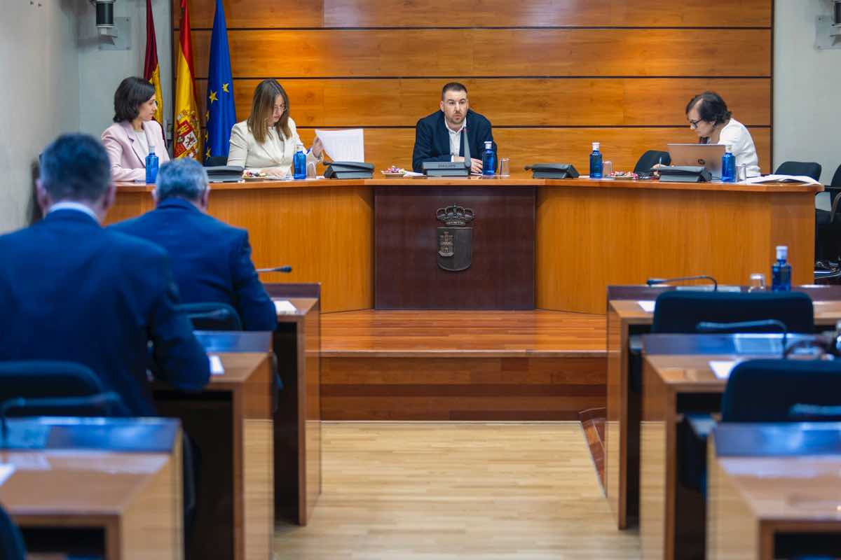 Vista de la reunión de la Comisión de Desarrollo Sostenible para la comparecencia de la Consejería de Desarrollo Sostenible, al objeto de informar sobre el nuevo Plan de Prevención y Gestión de Residuos de Castilla-La Mancha 2030. EFE/Ángeles Visdómine