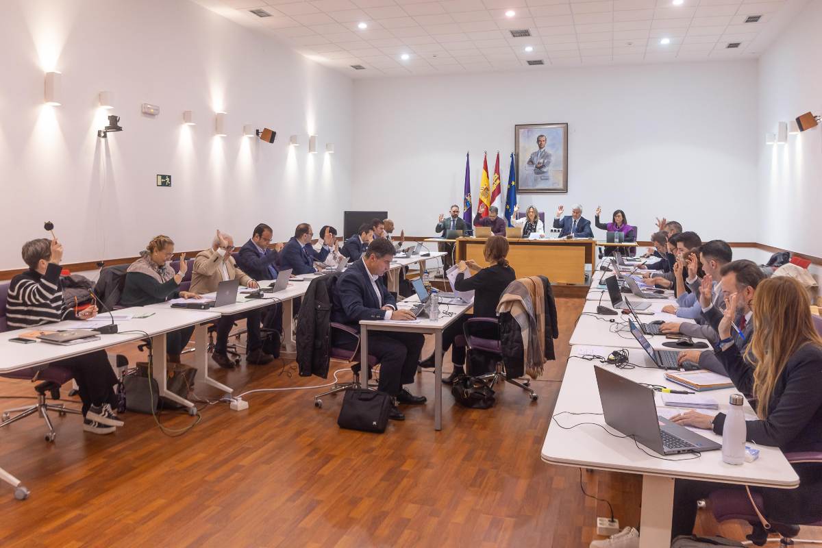 Pleno Ayuntamiento de Guadalajara 31 de enero 2025