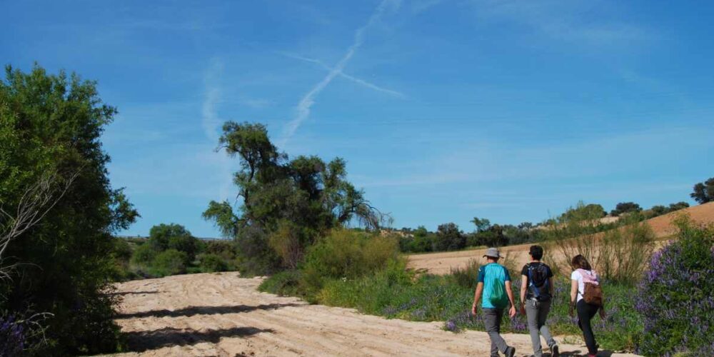 El arroyo Salchicha es una de las rutas naturales propuestas por Enrique García.