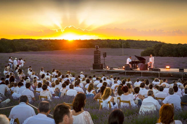 Festival Lavanda Foto: Turismo Castilla-La Mancha