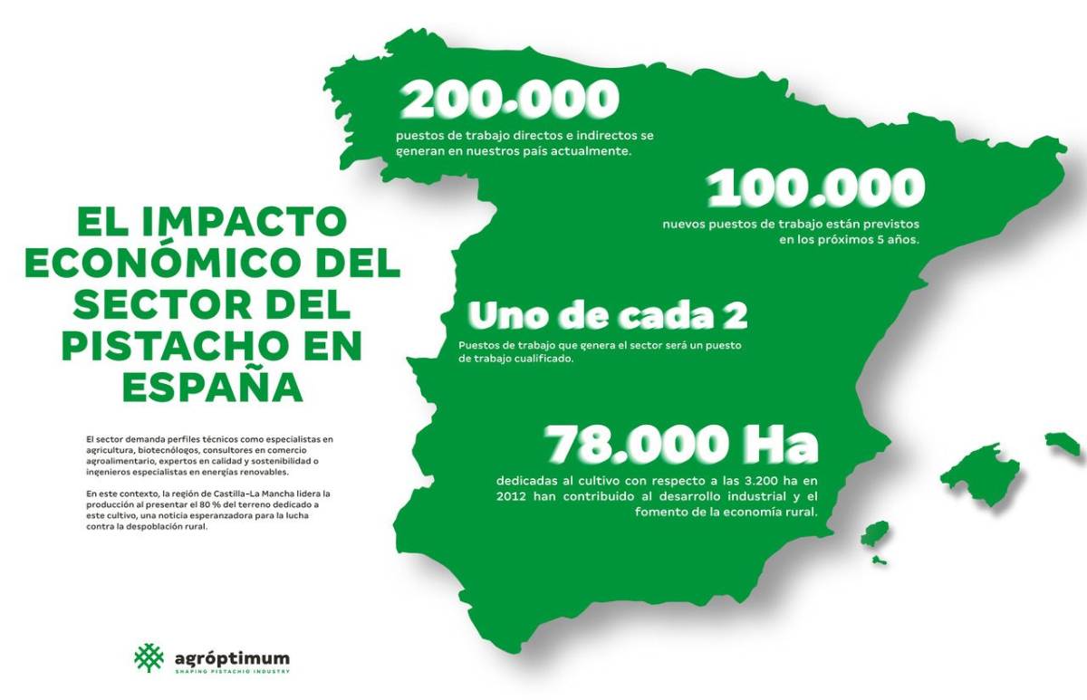 infografía pistacho