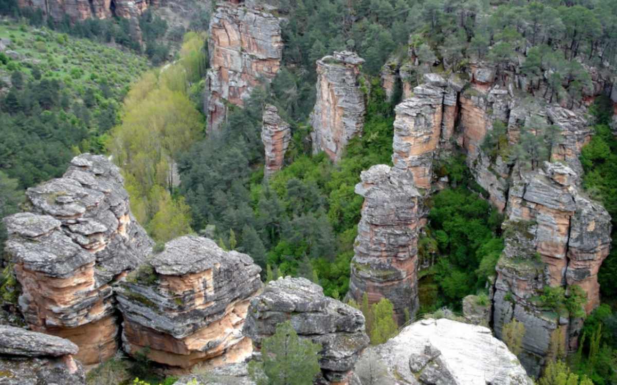 Parque Natural Alto Tajo Foto_ Turismo Castilla-La Mancha