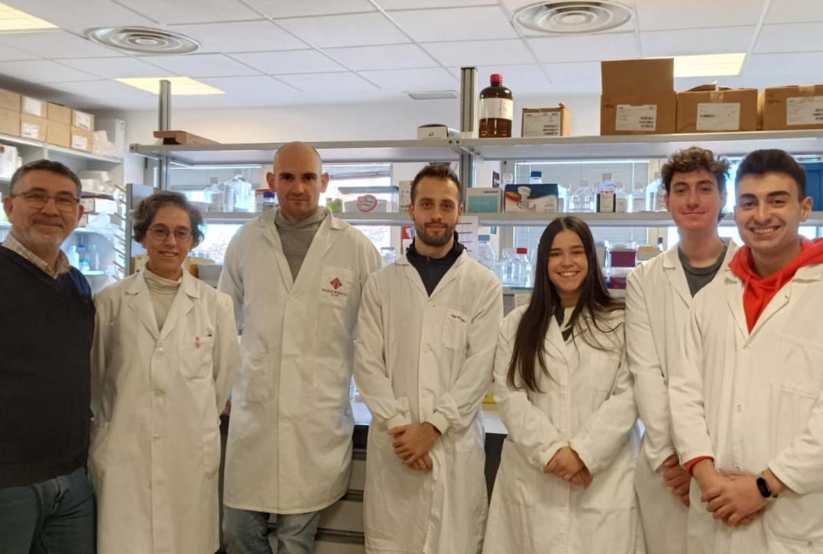 Equipo de investigación del Laboratorio de Oncología del Instituto de Biomedicina de la Universidad de Castilla-La Mancha.