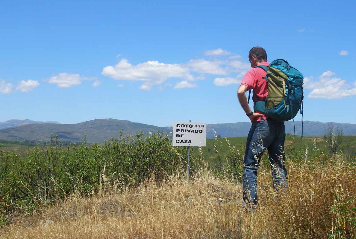 El tribunal falló a favor del recurso de los ecologistas contra la ley regional de caza.