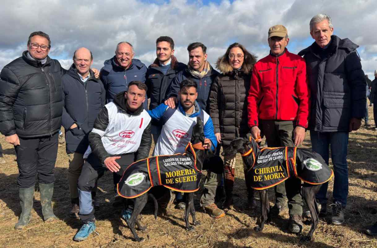 Campeonato de España de galgos.