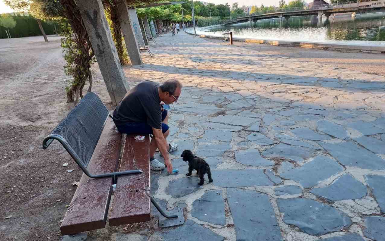 Un perro y su cuidador en un parque.