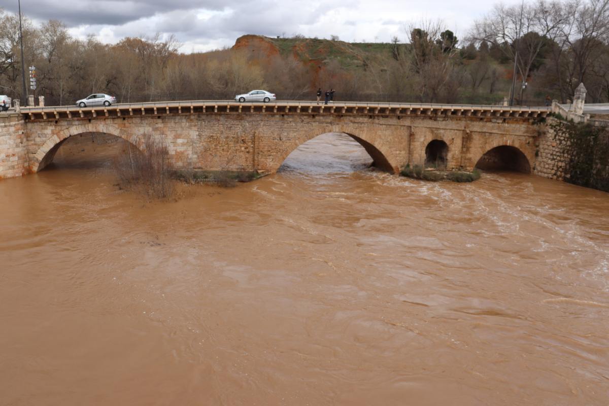 Río Henares en Guadalajara 11 marzo