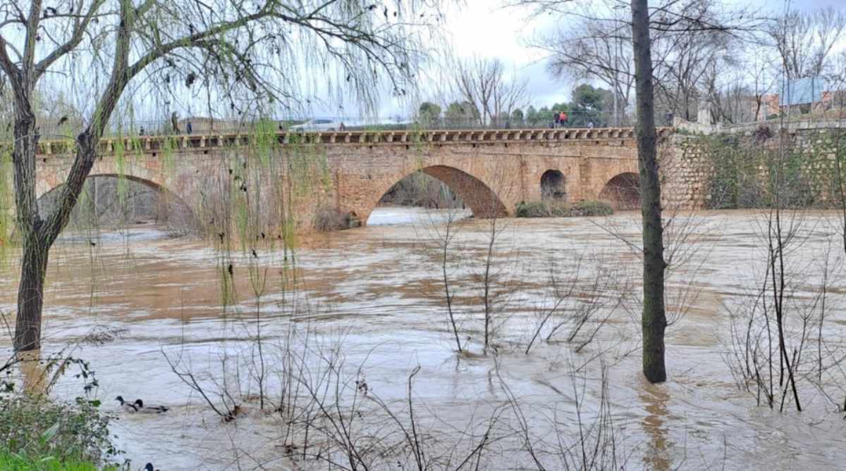 Río Henares en Puente Árabe