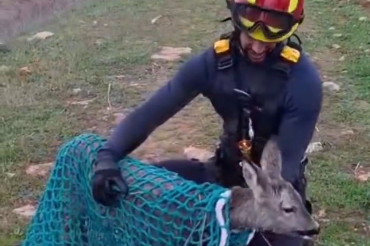 Uno de los bomberos con el corzo recién rescatado