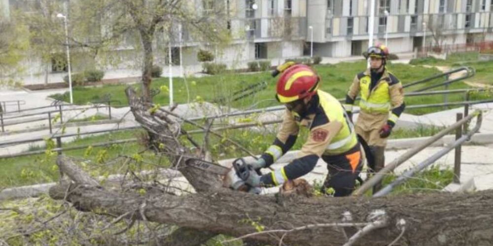 Los bomberos de Toledo, retirando un árbol grande caído en una calle del Polígono. Foto: Bomberos de Toledo.