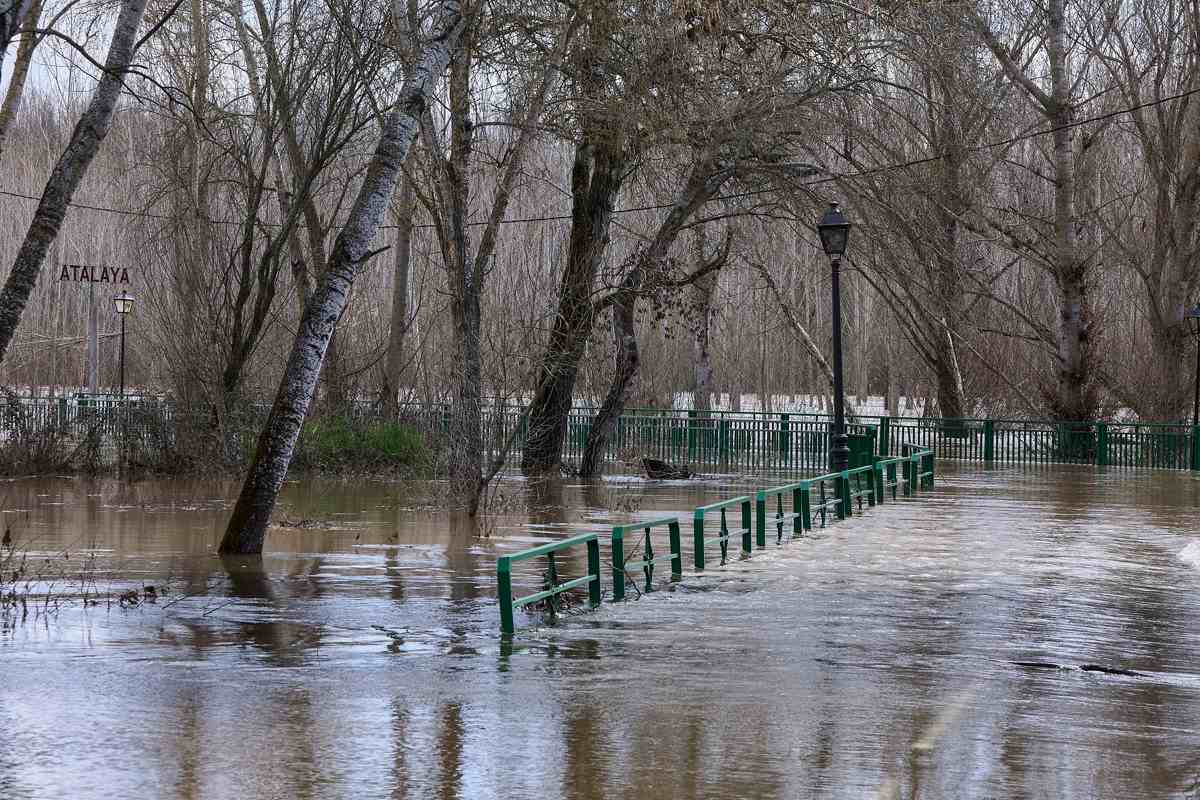 Inundación del Alberche en Cardiel de los Montes. Foto: EFE/Manu Reino.