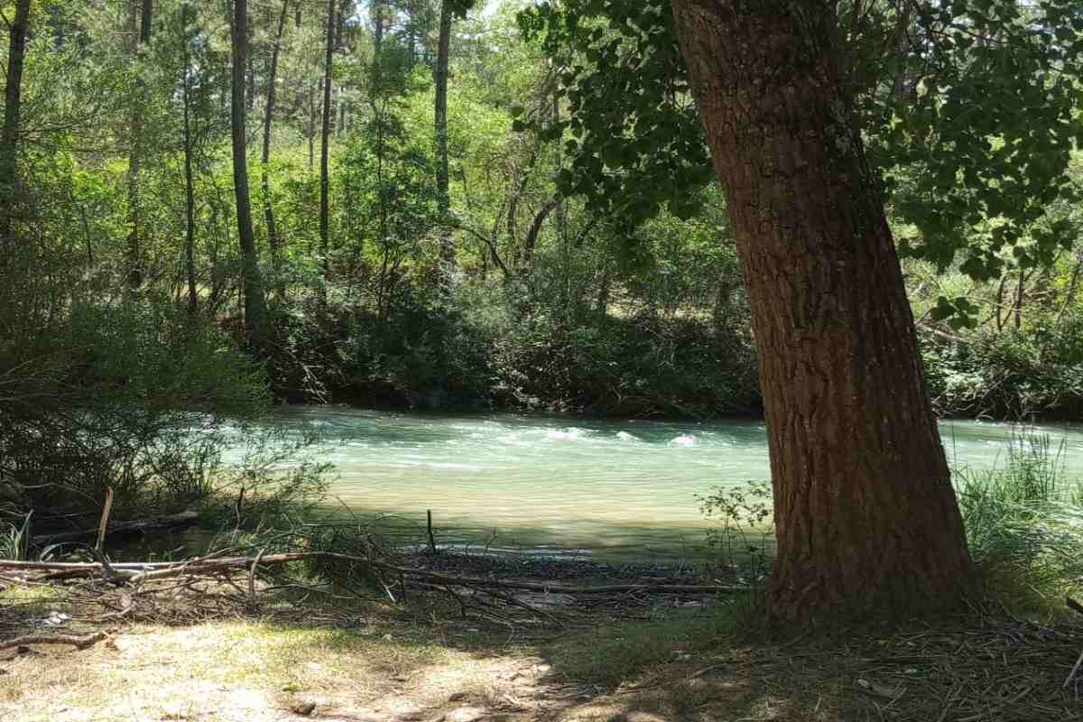 Ha sido hallado en el paraje del Chantre.