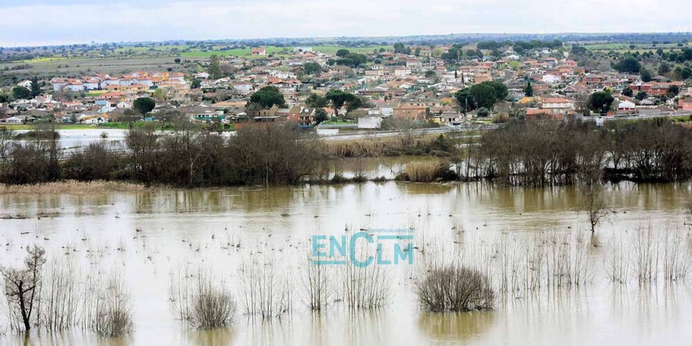 Crecida del rñio Alberche en Escalona.