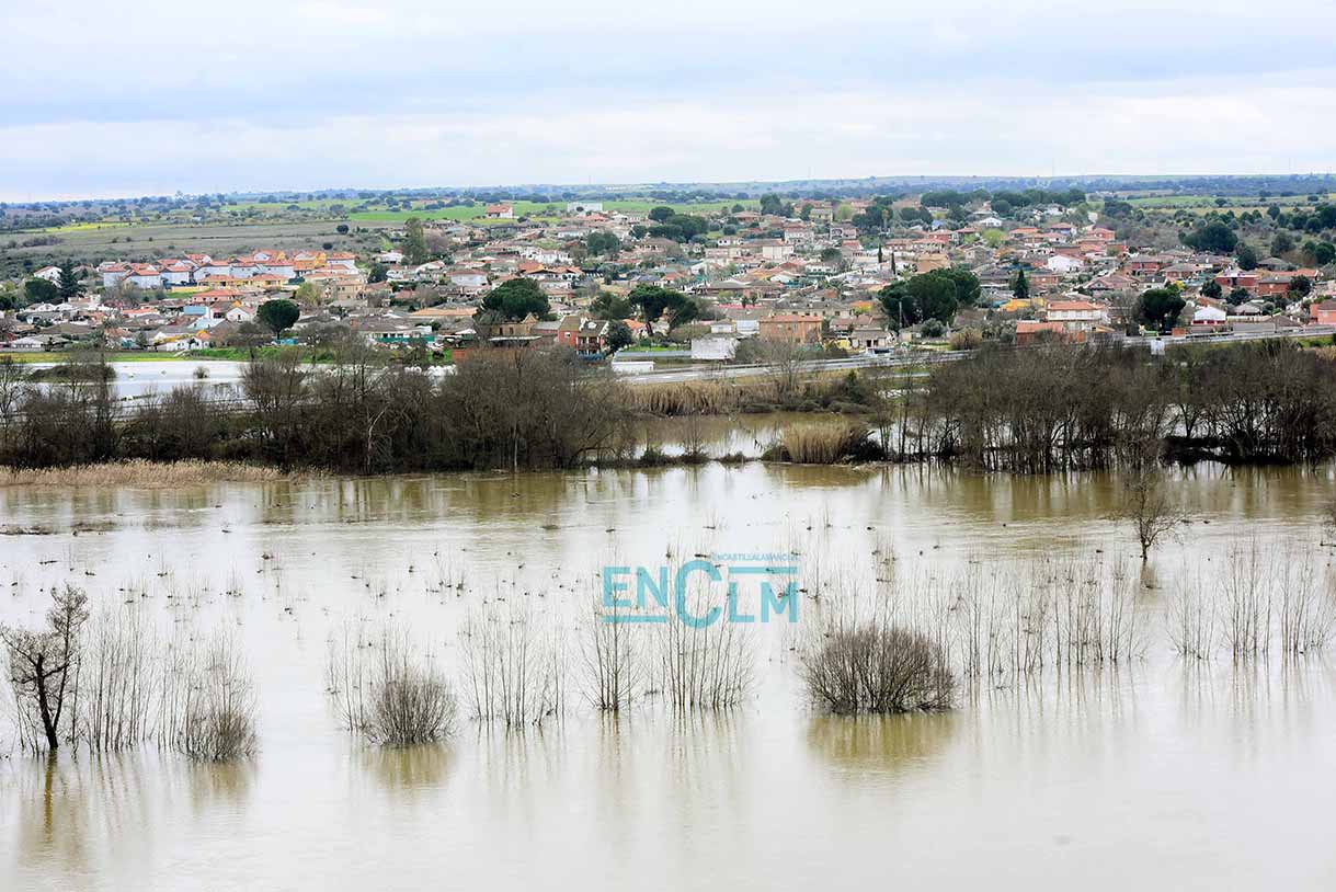 Crecida del rñio Alberche en Escalona.