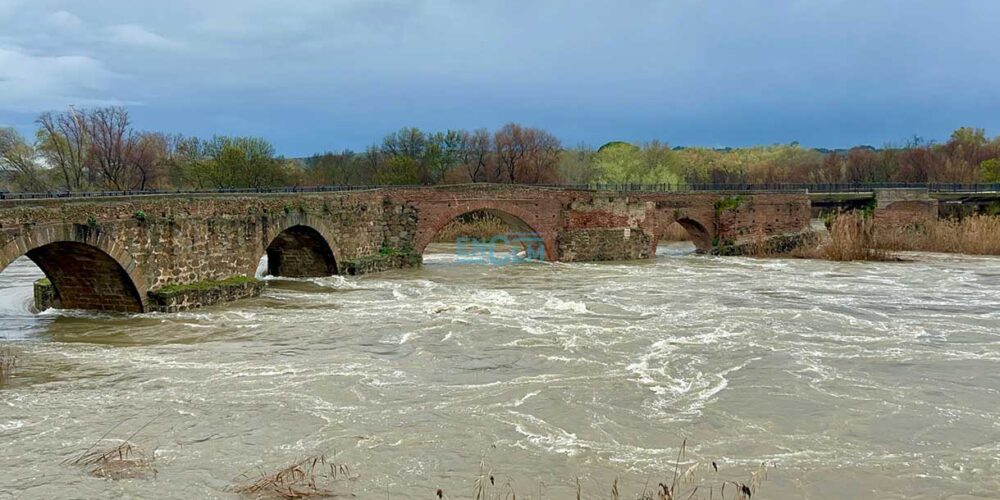 Crecida del río tajo a su paso por Talavera de la Reina (Toledo)