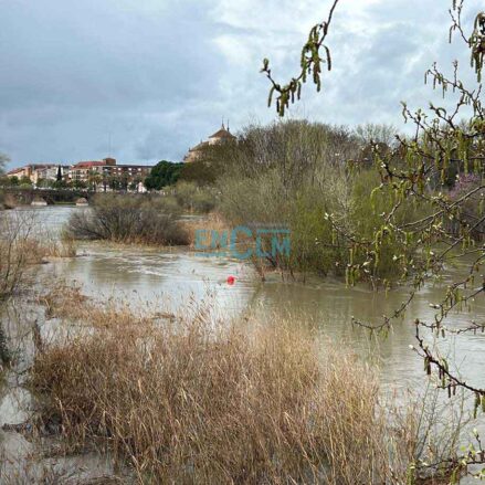 Crecida del Tajo en Talavera.