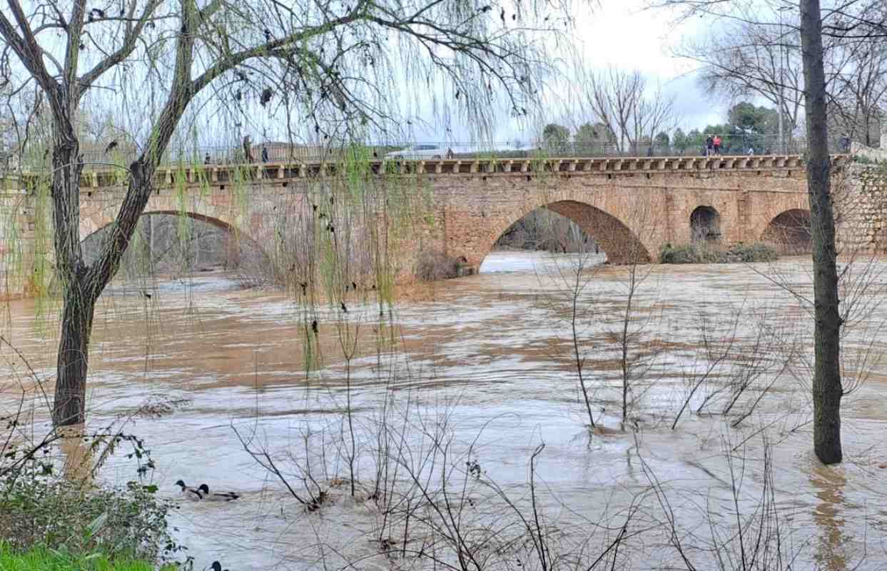 El río Henares, en la misma mañana del domingo.