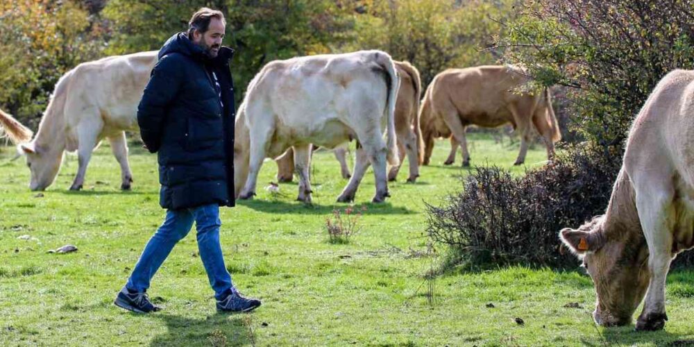 El presidente del PP de Castilla-La Mancha, Paco Núñez.