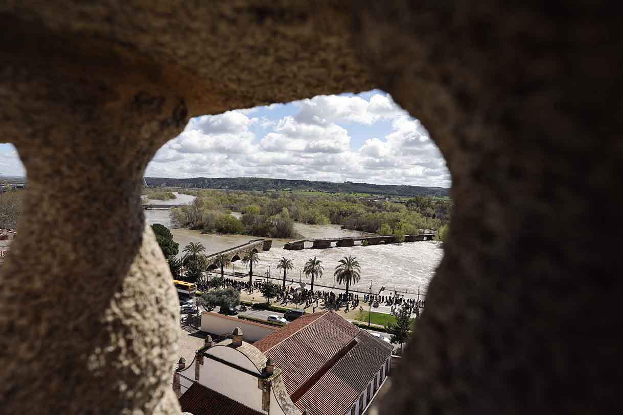 Vista del puente viejo derrumbado por la crecida del río Tajo a su paso por Talavera de la Reina, este domingo. EFE/Manu Reino.