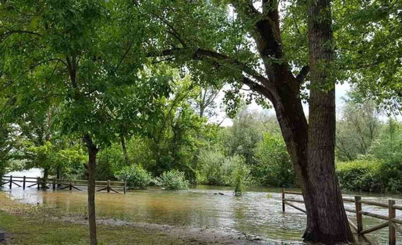 Crecida del río Alberche a su paso por Escalona. Fotoi: Ayuntamiento.