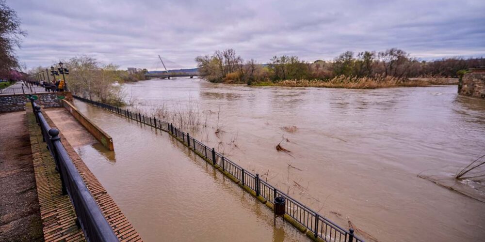 Vista de la crecida del río Alberche a su paso por Talavera de la Reina este miércoles. Foto: EFE/Manu Reino