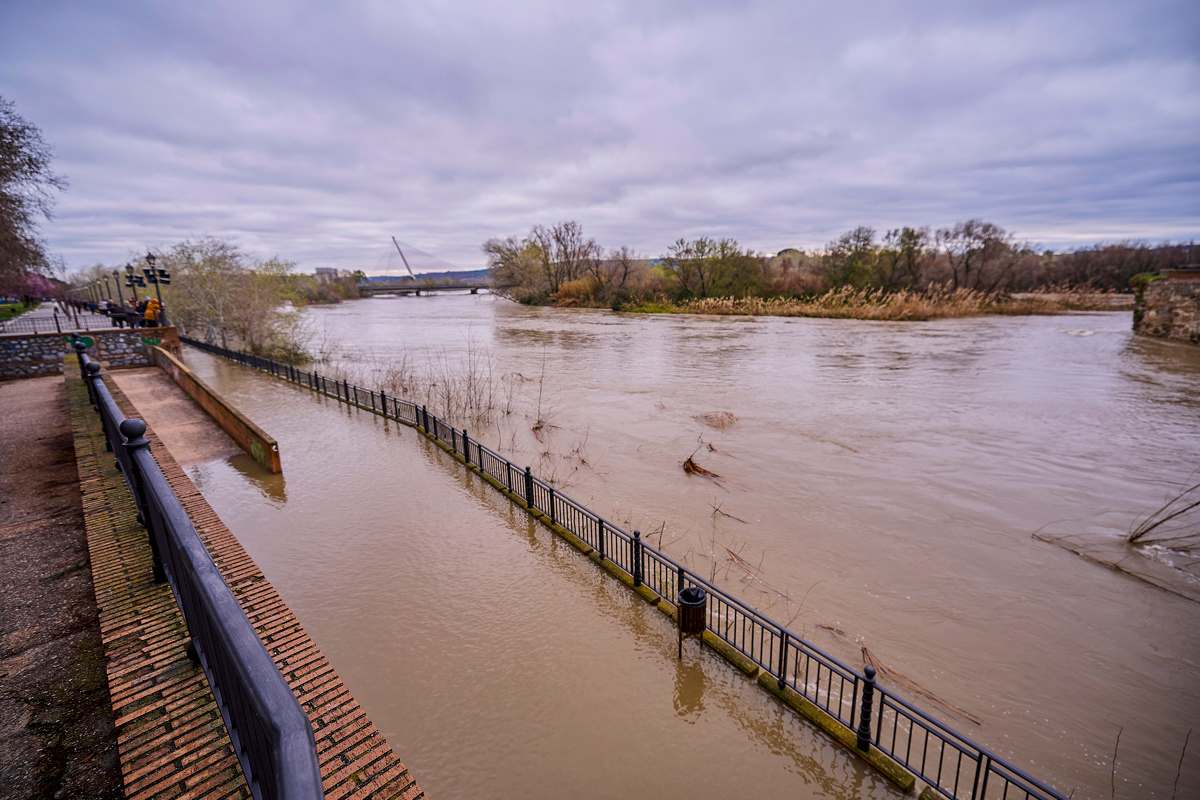 Vista de la crecida del río Alberche a su paso por Talavera de la Reina este miércoles. Foto: EFE/Manu Reino