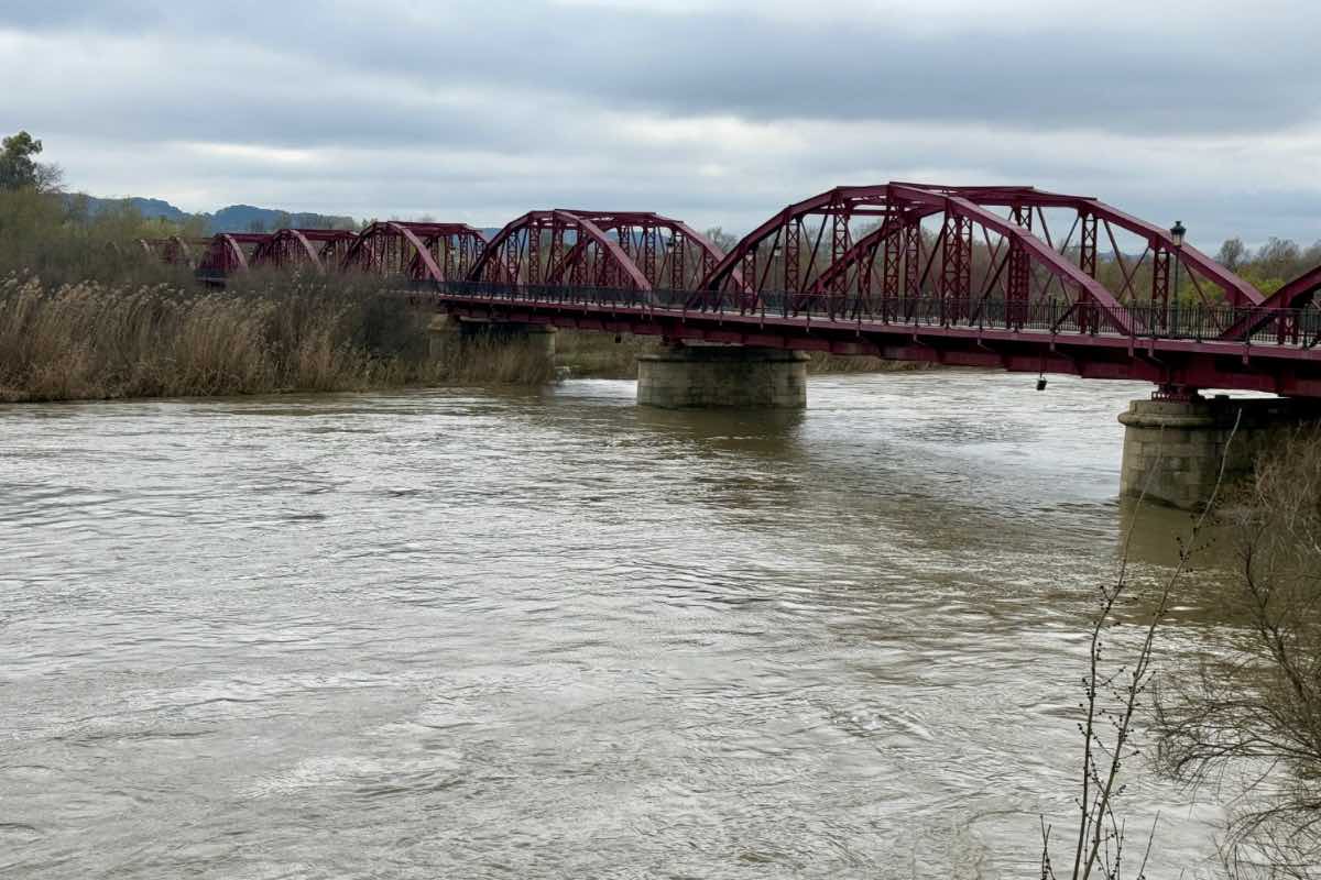 El río Tajo a su paso por Talavera. Foto: Ayuntamiento de Talavera