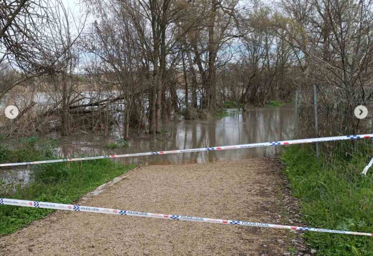 La senda ecológica, cortada en algunos puntos por la crecida del Tajo.