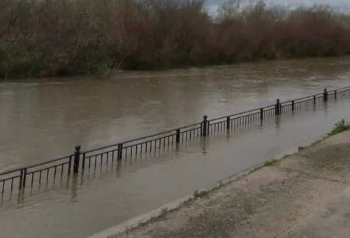 Imagen del Tajo a su paso por Talavera.