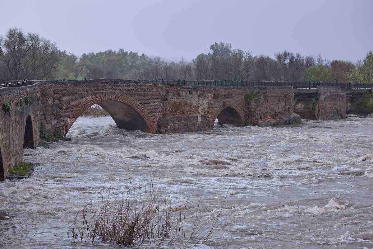 El Tajo a su paso por Talavera hoy sábado. Foto: EFE/Manu Reino.